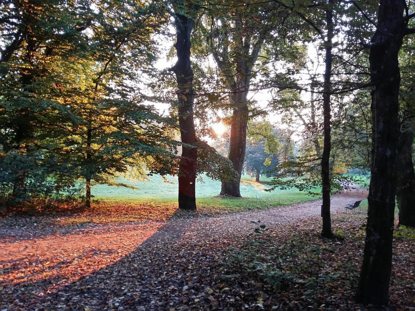 La Maisonnette Du Parc Ле-Крёзо Экстерьер фото